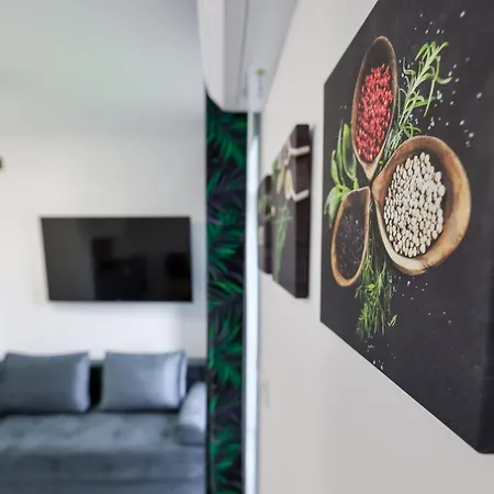 Horyzont Zator Apartman Gieraltowiczki