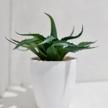 Appartement Horyzont Zator